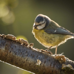 Redwell   03 05 2017 (2 Of 2).jpg